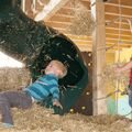Familienfreizeit - auf dem Kinderbauernhof: (c) Kinderbauernhof Wigger - www.kinderbauernhofwigger.de